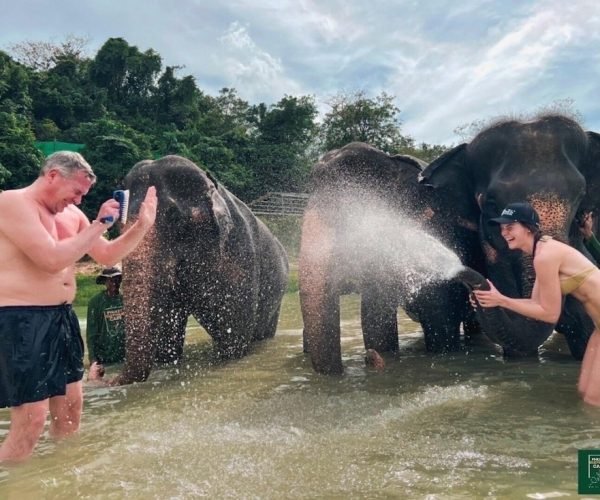 Phuket elephant care